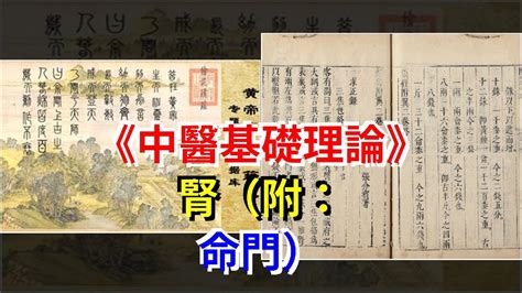 納氣|中醫基礎/腎（附：命門）